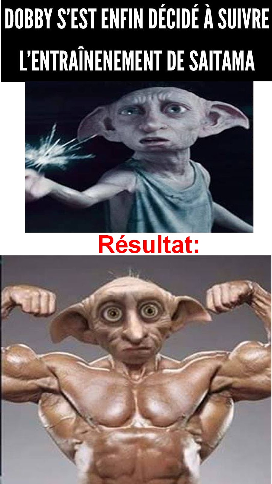 dobby musculation1