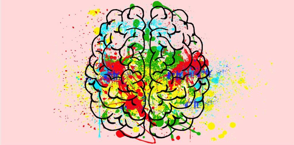 cerveau humain cerveau humain